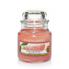 Pink Grapefruit candela Yankee Candle giara piccola