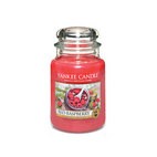 Red Raspberry candela Yankee Candle giara grande
