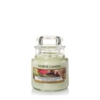 Lemongrass & Ginger candela Yankee Candle giara piccola
