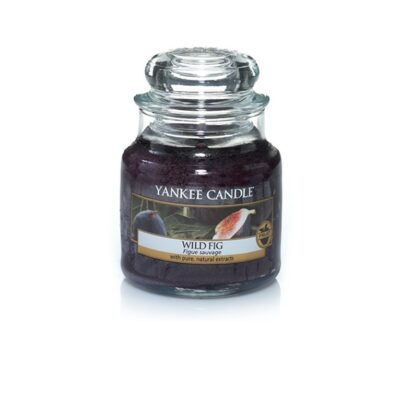 Wild Fig candela Yankee Candle giara media