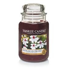 Madagascan Orchid candela Yankee Candle giara grande