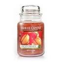 Spiced Orange candela di Yankee candle giara grande