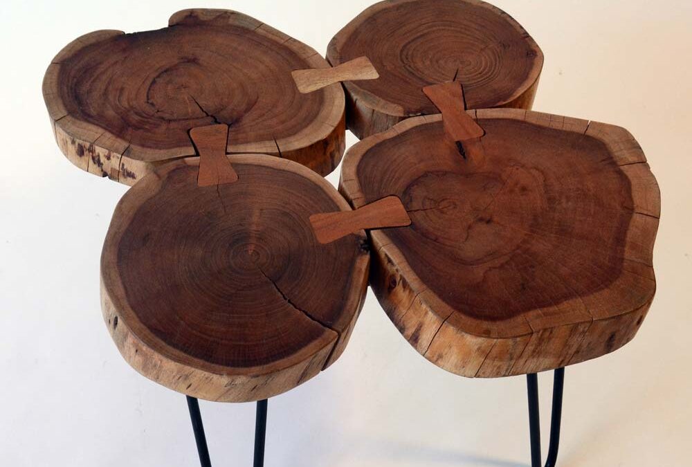 Tavolino da salotto in legno da tronchi d’albero: arredamento contemporaneo