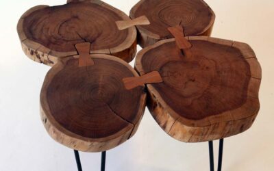 Tavolino da salotto in legno da tronchi d’albero: arredamento contemporaneo